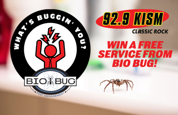 What’s Buggin’ You?