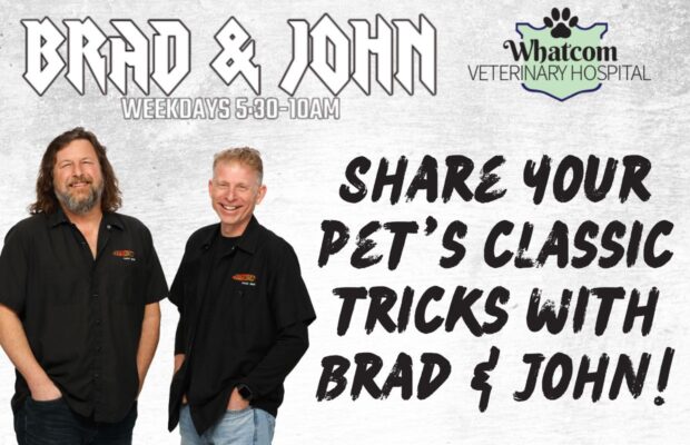 Classic Pet Tricks